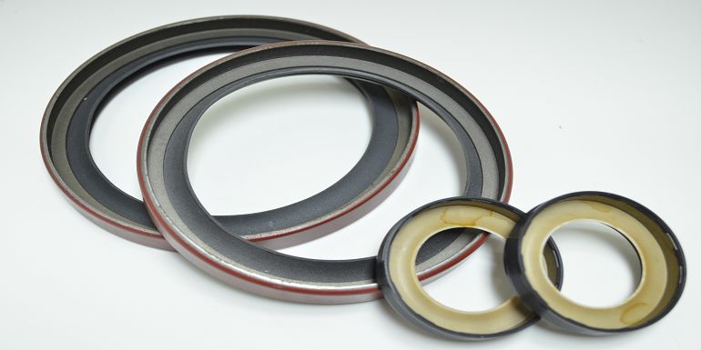 PTFE LIP SEALS